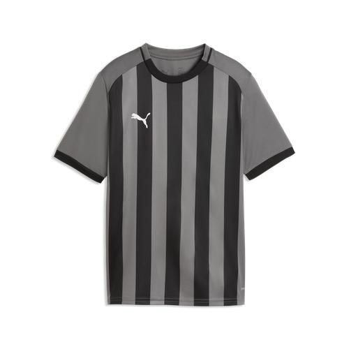 Puma teamLIGA Junior Striped Jersey