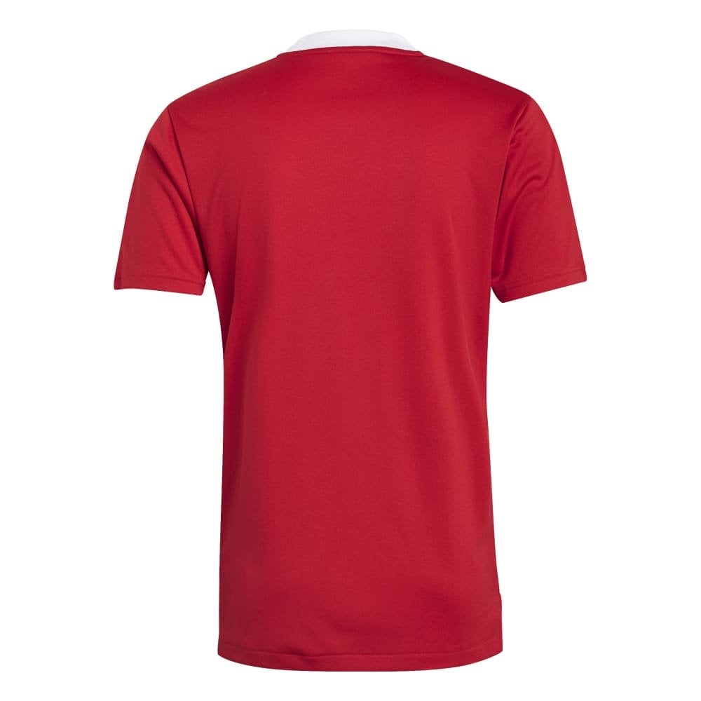 Adidas Mens Tiro 21 Training Jersey - Sport from  UK