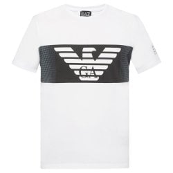 ea7 shorts and t shirt